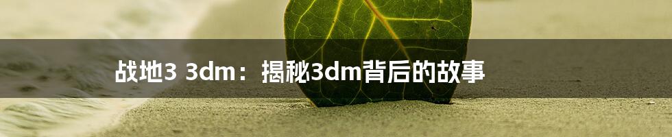 战地3 3dm：揭秘3dm背后的故事