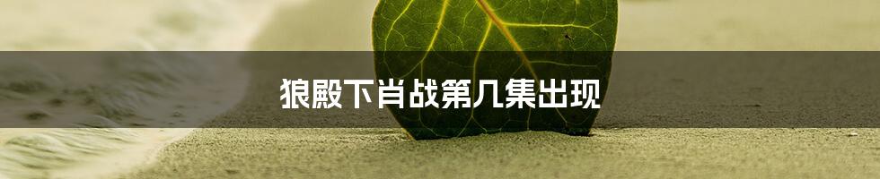 狼殿下肖战第几集出现