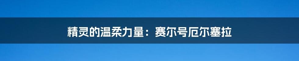 精灵的温柔力量：赛尔号厄尔塞拉