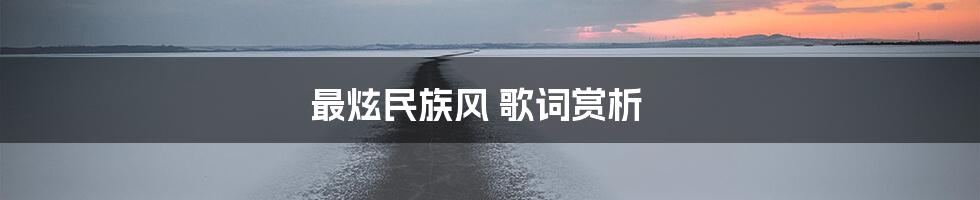 最炫民族风 歌词赏析