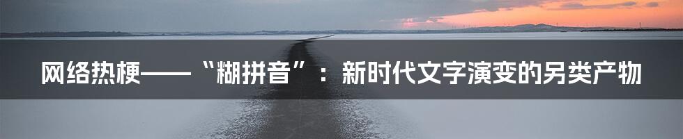 网络热梗——“糊拼音”：新时代文字演变的另类产物