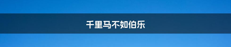 千里马不如伯乐