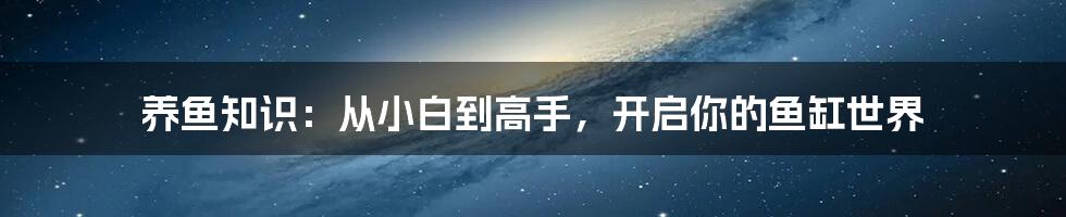 养鱼知识：从小白到高手，开启你的鱼缸世界