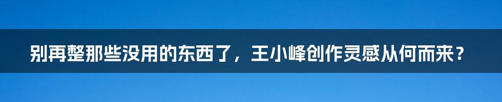 别再整那些没用的东西了，王小峰创作灵感从何而来？