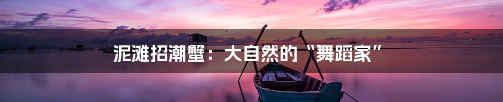 泥滩招潮蟹：大自然的“舞蹈家”