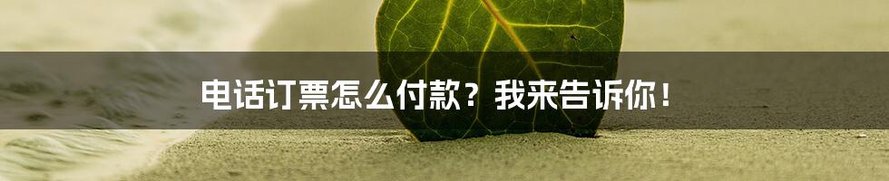 电话订票怎么付款？我来告诉你！