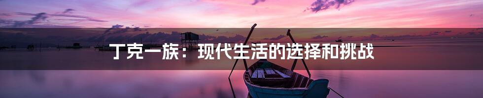 丁克一族：现代生活的选择和挑战