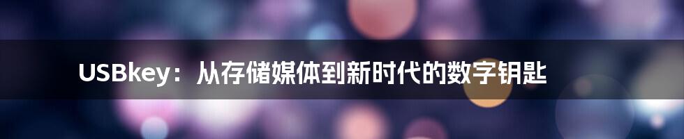 USBkey：从存储媒体到新时代的数字钥匙