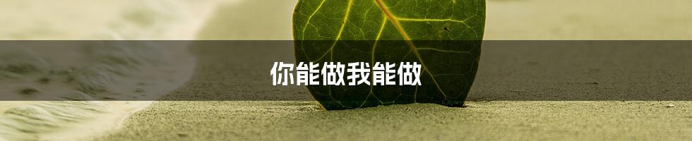 你能做我能做