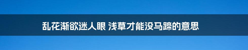 乱花渐欲迷人眼 浅草才能没马蹄的意思