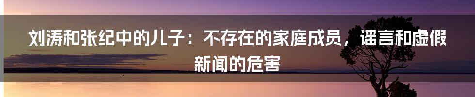 刘涛和张纪中的儿子：不存在的家庭成员，谣言和虚假新闻的危害