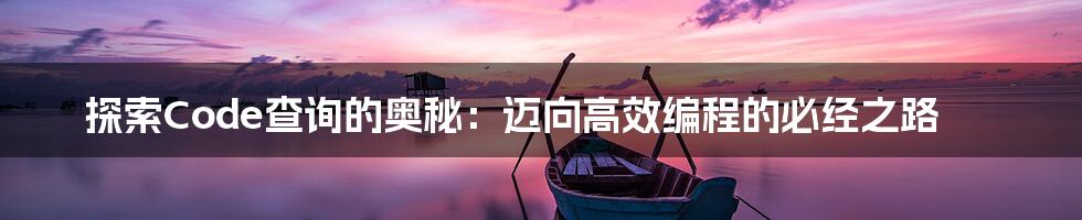 探索Code查询的奥秘：迈向高效编程的必经之路