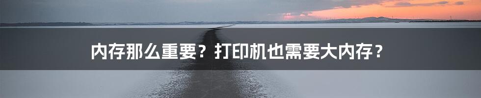 内存那么重要？打印机也需要大内存？