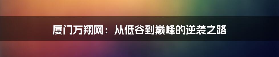 厦门万翔网：从低谷到巅峰的逆袭之路