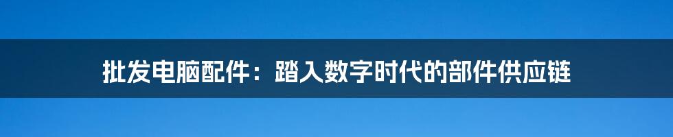批发电脑配件:踏入数字时代的部件供应链