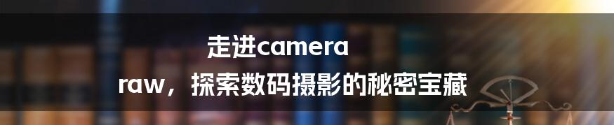 走进camera raw，探索数码摄影的秘密宝藏