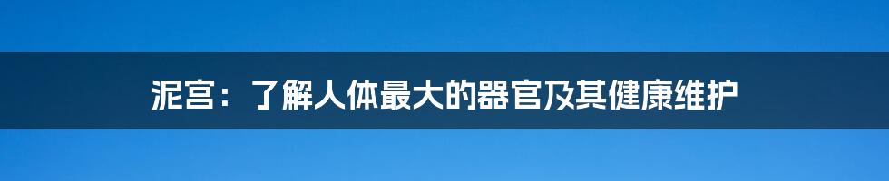 泥宫：了解人体最大的器官及其健康维护