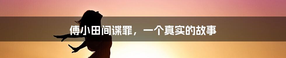 傅小田间谍罪，一个真实的故事