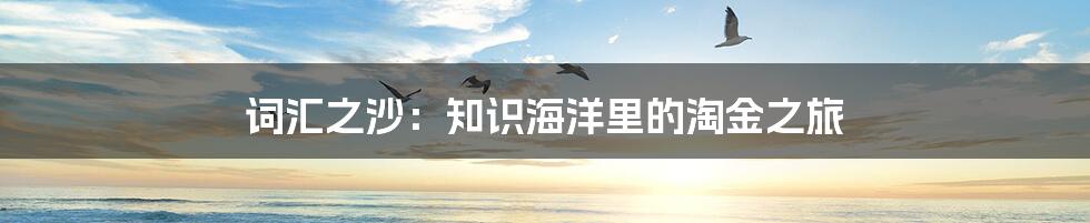 词汇之沙：知识海洋里的淘金之旅