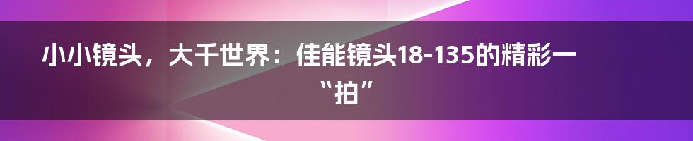 小小镜头，大千世界：佳能镜头18-135的精彩一“拍”