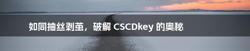 如同抽丝剥茧，破解 CSCDkey 的奥秘