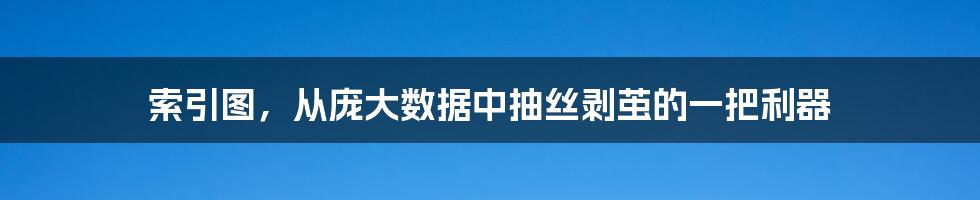 索引图，从庞大数据中抽丝剥茧的一把利器