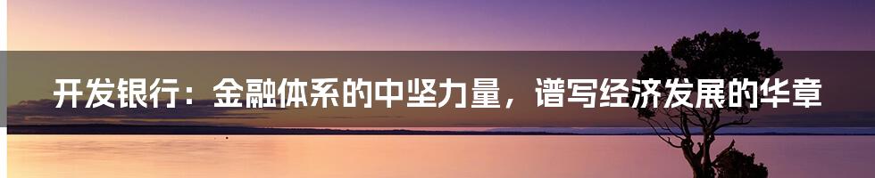 开发银行：金融体系的中坚力量，谱写经济发展的华章