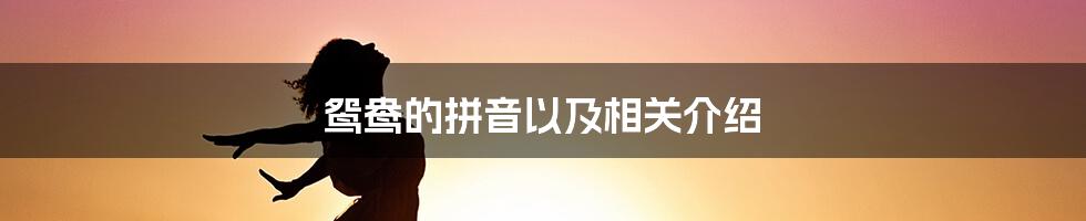 鸳鸯的拼音以及相关介绍