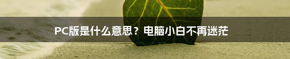 PC版是什么意思？电脑小白不再迷茫