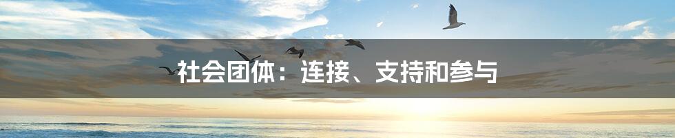 社会团体：连接、支持和参与