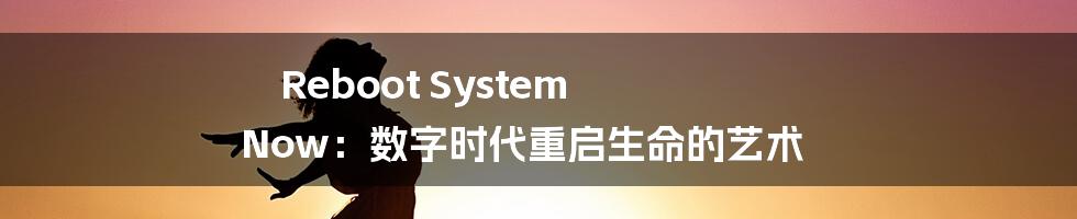 Reboot System Now：数字时代重启生命的艺术