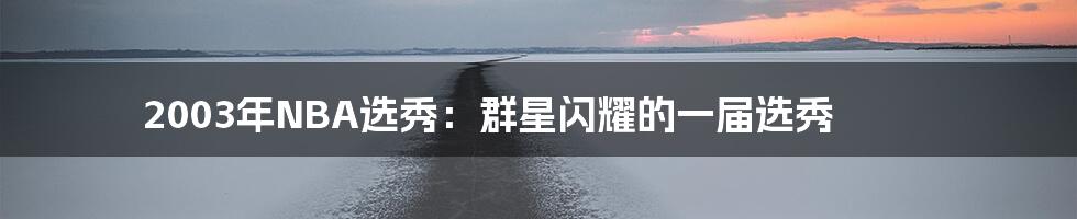 2003年NBA选秀：群星闪耀的一届选秀