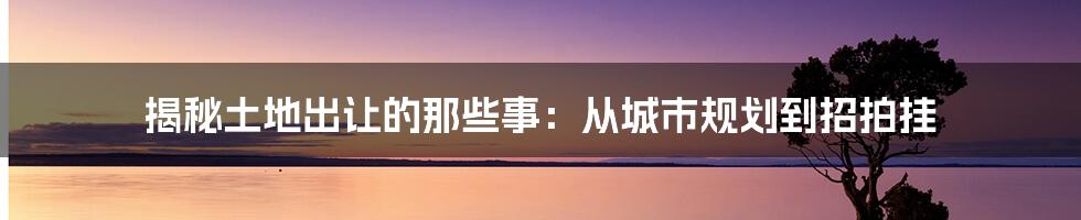 揭秘土地出让的那些事：从城市规划到招拍挂