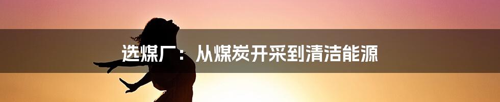 选煤厂：从煤炭开采到清洁能源