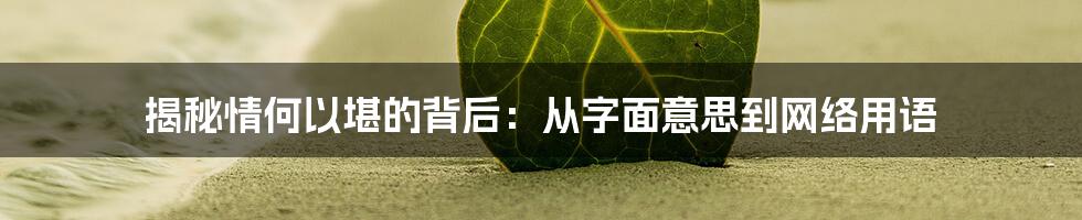 揭秘情何以堪的背后：从字面意思到网络用语