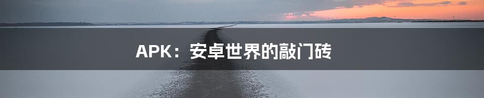 APK：安卓世界的敲门砖