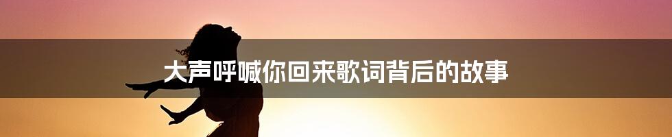 大声呼喊你回来歌词背后的故事