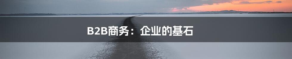 B2B商务：企业的基石