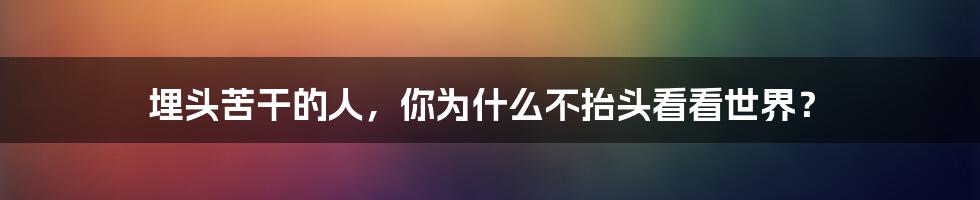 埋头苦干的人，你为什么不抬头看看世界？