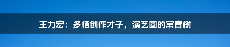 王力宏：多栖创作才子，演艺圈的常青树