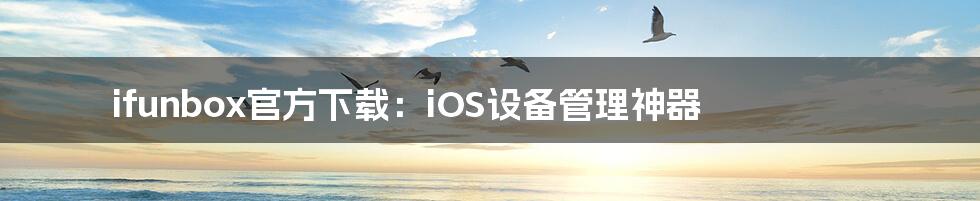 ifunbox官方下载：iOS设备管理神器