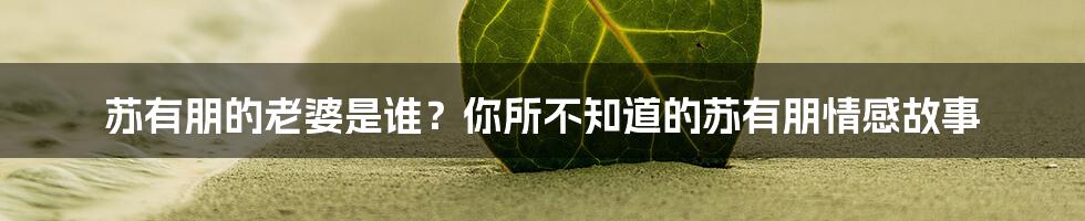 苏有朋的老婆是谁？你所不知道的苏有朋情感故事