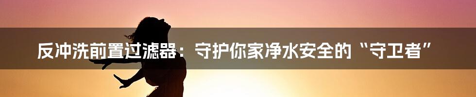 反冲洗前置过滤器：守护你家净水安全的“守卫者”