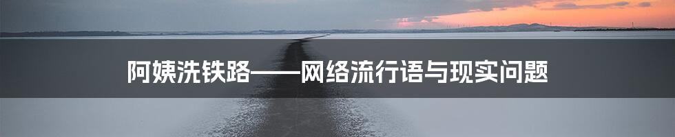 阿姨洗铁路——网络流行语与现实问题