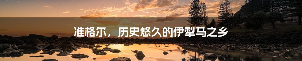 准格尔,历史悠久的伊犁马之乡