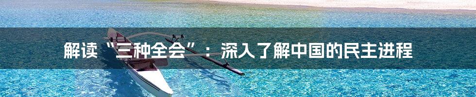 解读“三种全会”：深入了解中国的民主进程