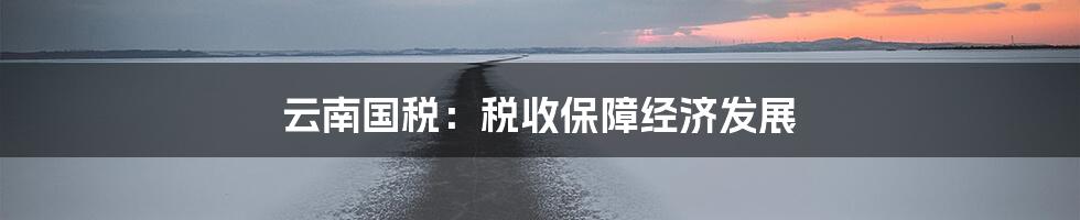 云南国税：税收保障经济发展