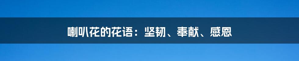喇叭花的花语:坚韧、奉献、感恩