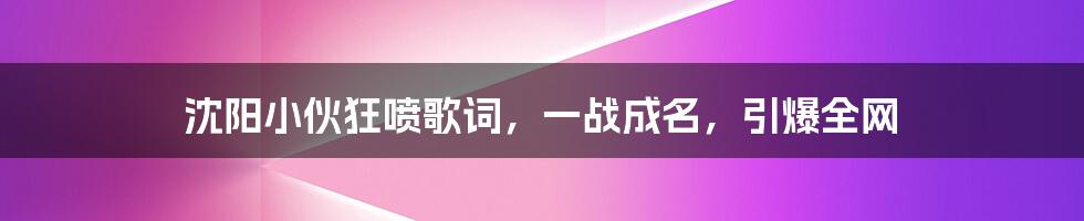 沈阳小伙狂喷歌词，一战成名，引爆全网