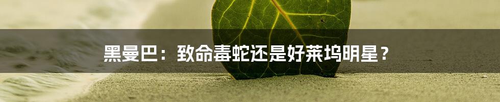 黑曼巴：致命毒蛇还是好莱坞明星？